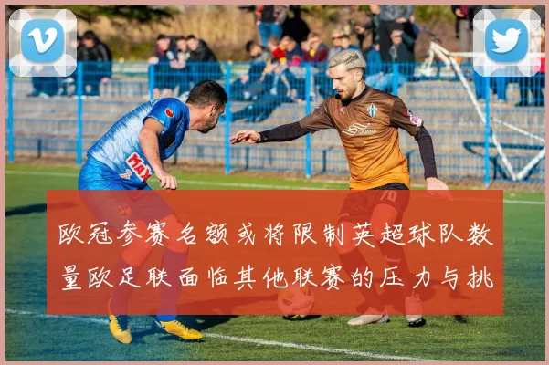 欧冠参赛名额或将限制英超球队数量欧足联面临其他联赛的压力与挑战