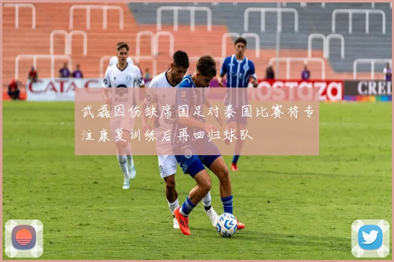 武磊因伤缺席国足对泰国比赛将专注康复训练后再回归球队